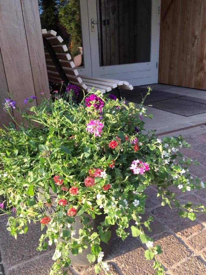Bed and Breakfast Erve Toon'Boer Mander Екстер'єр фото